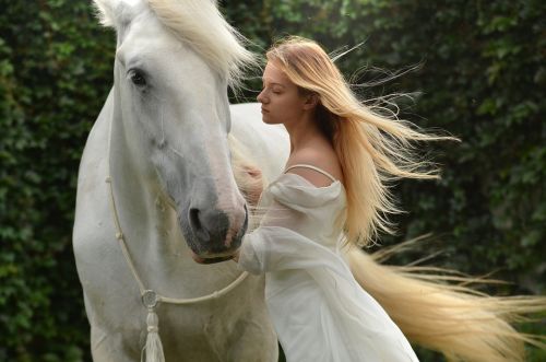 Paard & Partner: Datingsite voor paardenliefhebbers