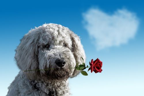 Regio dating: Een date dicht bij huis