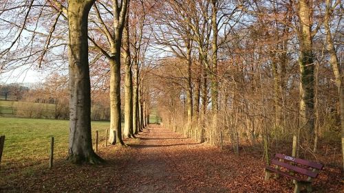 date limburg date limburg